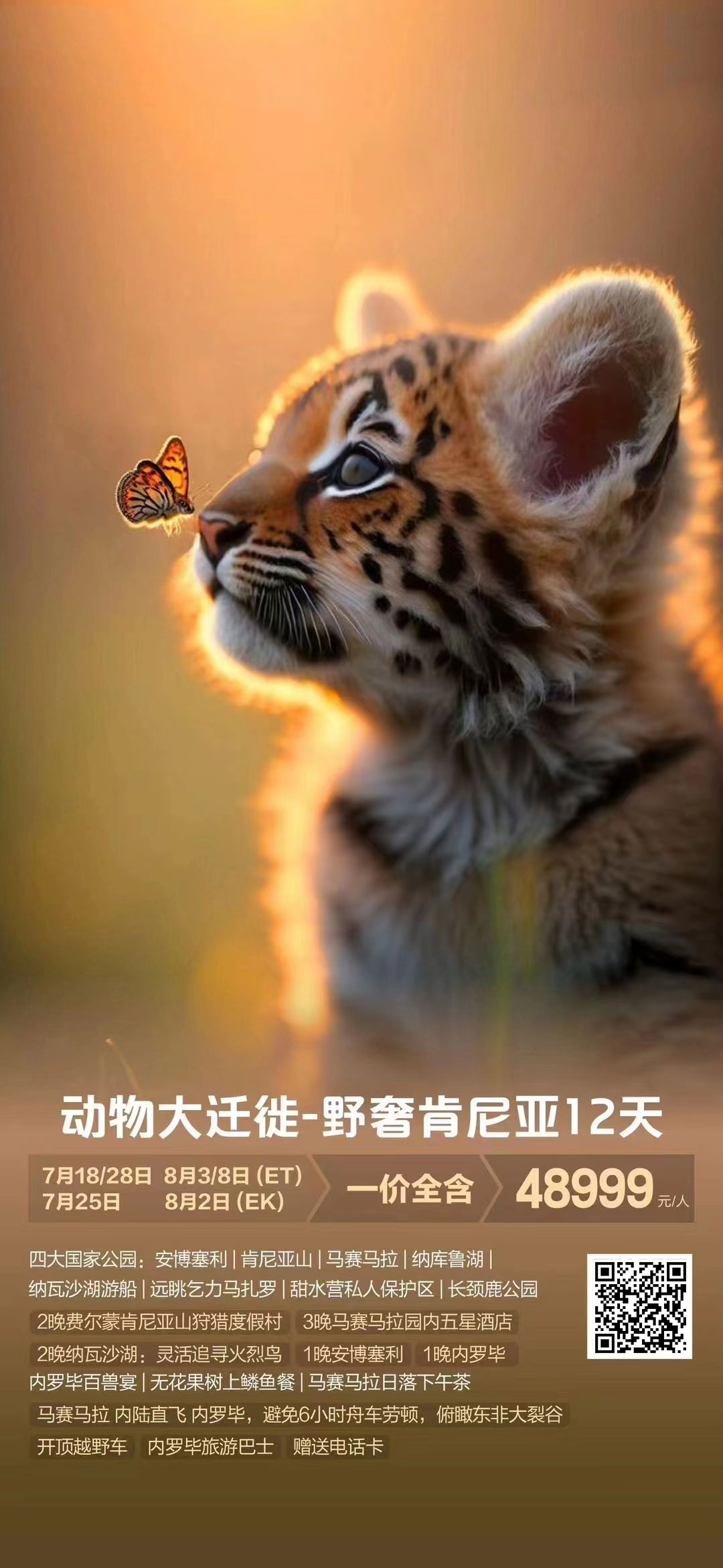 【暑假】动物大迁徙-野奢肯尼亚12天9晚-ET/EK产品特色简图